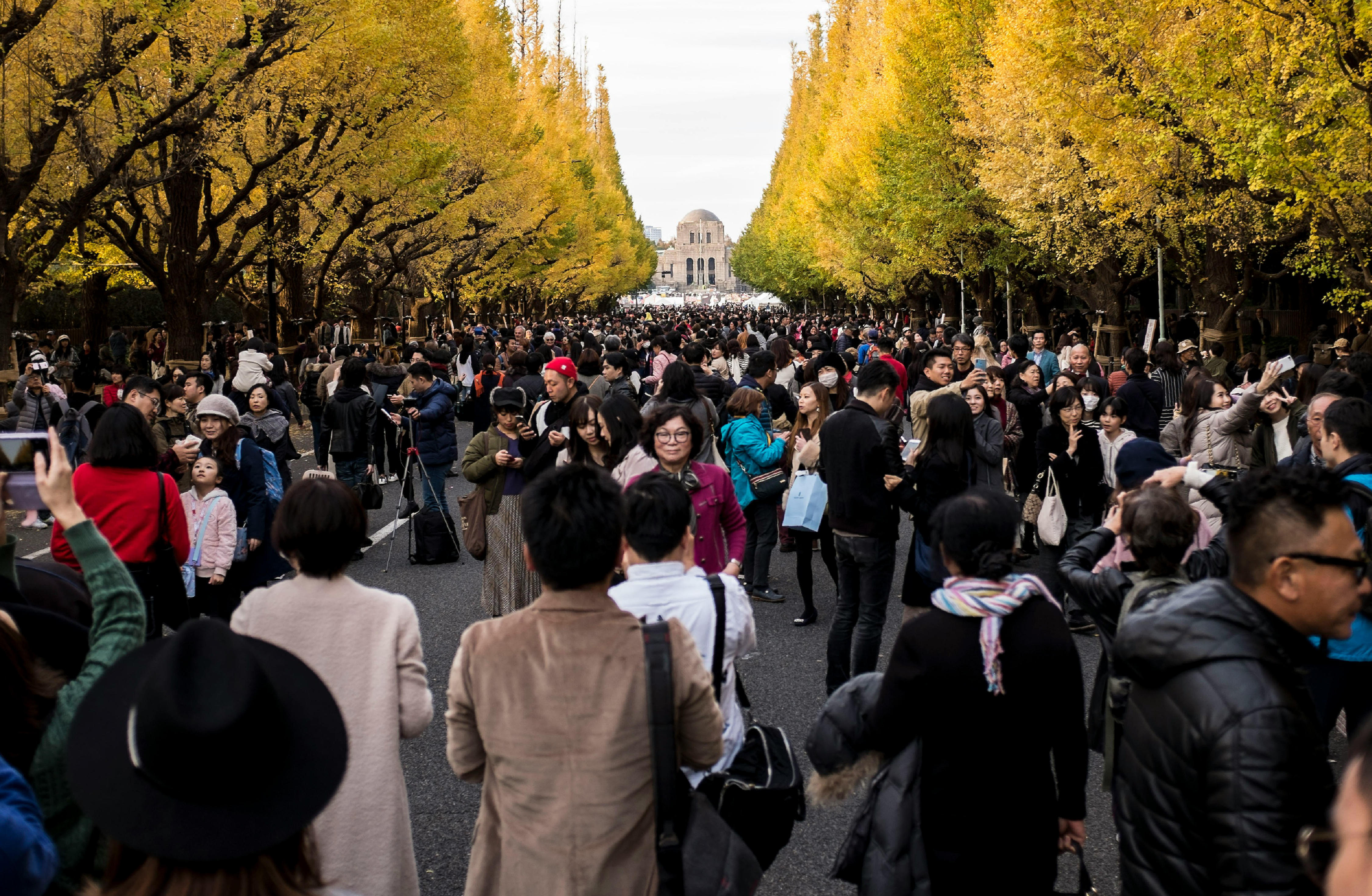 Festivais de Outono pelo Mundo: Uma Viagem pelas Tradições Culturais